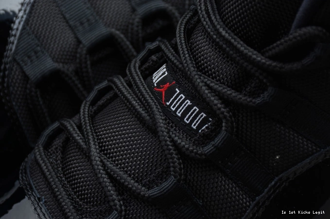 Jordan 378037-010 Retro (2012) Air Bred 11 0728